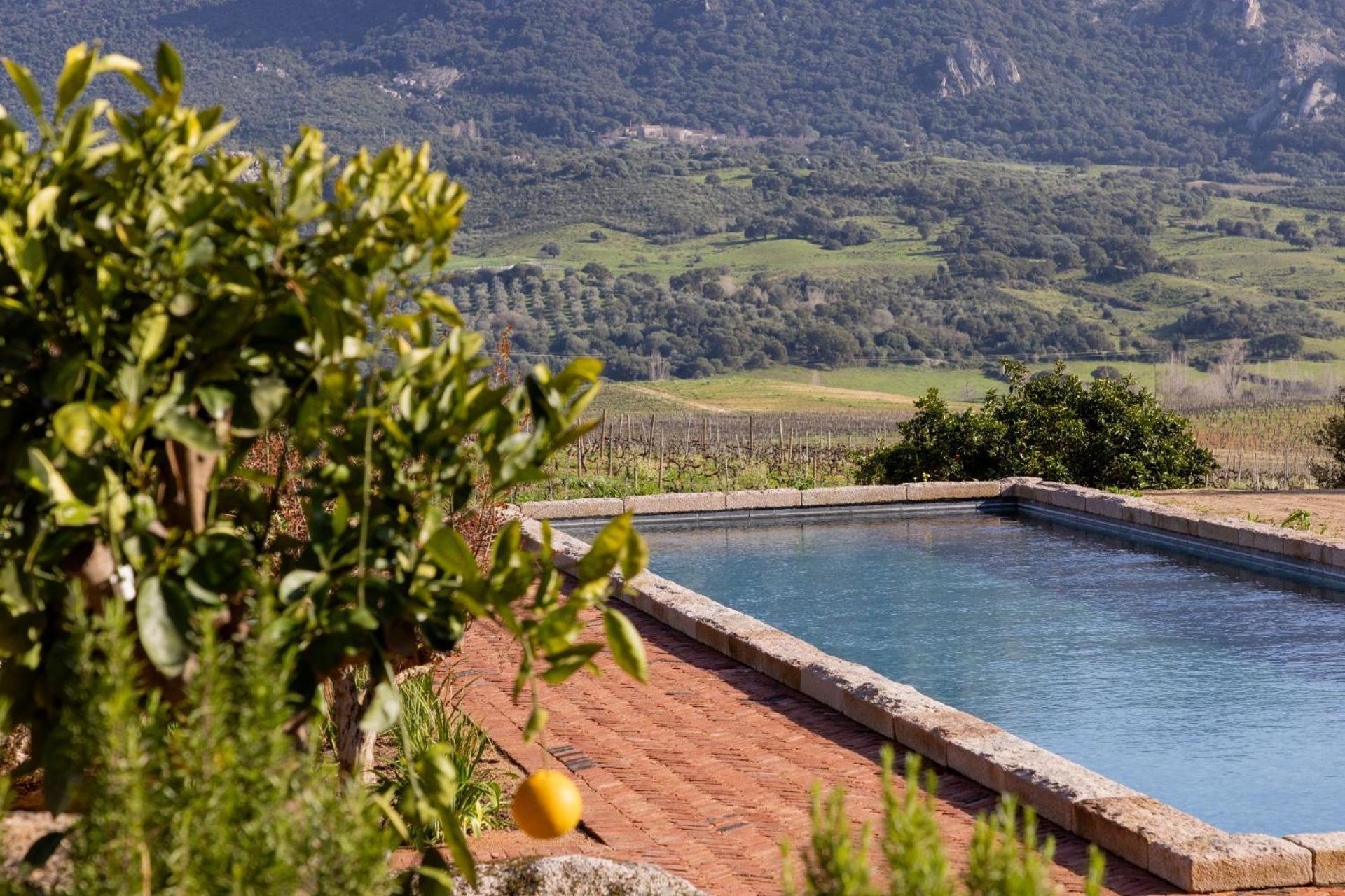 Le Hameau De Saparale サルテーヌ エクステリア 写真